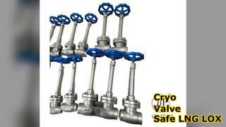 Cryo Globe Valve 5.0Mpa LNG LOX ปลอดภัย