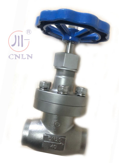 CNLN/Arman DJ61F-40P SS304/316 วัลล์ฟกลอบไครโอเจนิก แบบสั้น A ((DN10-100mm) สําหรับระบบ LNG/LOX/LN2 CE/ISO/EAC รับรอง