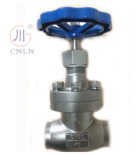CNLN/Arman DJ61F-40P SS304/316 วัลล์ฟกลอบไครโอเจนิก แบบสั้น A ((DN10-100mm) สําหรับระบบ LNG/LOX/LN2 CE/ISO/EAC รับรอง