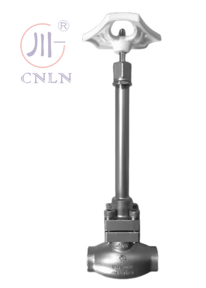 SS304/316 วาล์วกลอบไครโอเจนิก แบบกิ่งยาว D ((DN10-100mm) สําหรับ LNG/LOX/LN2