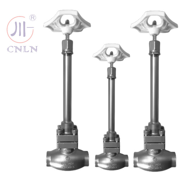 SS304/316 วาล์วกลอบไครโอเจนิก แบบกิ่งยาว D ((DN10-100mm) สําหรับ LNG/LOX/LN2