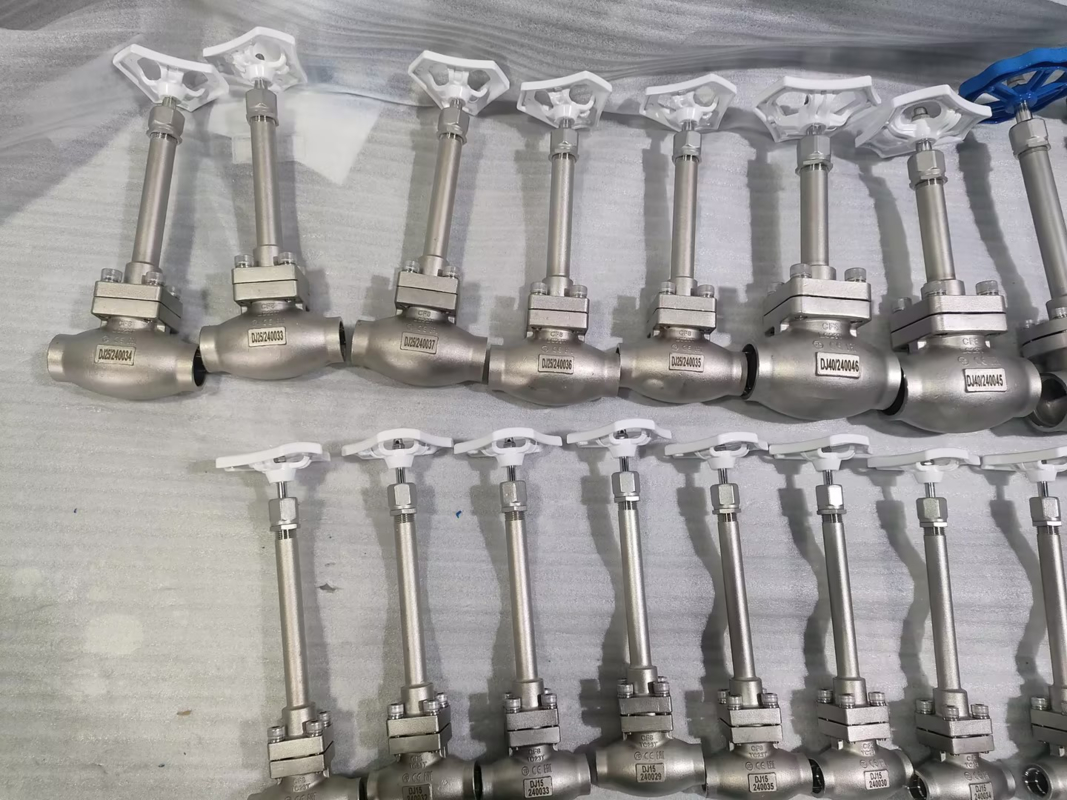 DN25 Cryogenic Globe Valve สแตนเลส 304/316 พร้อมปุ่ม PTFE และ CF8/CF3 วาลล์ตัวสําหรับ -196 °C ถึง + 80 °C การใช้งาน