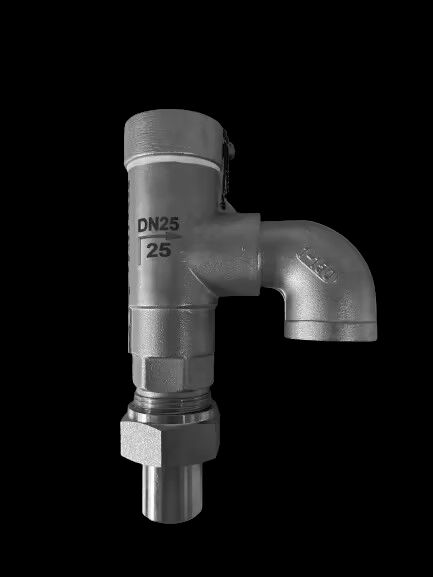 ปริมาตรความดันของวาล์วความปลอดภัยไครโอเจนิกจากสแตนเลส สําหรับ -196 °C ถึง +120 °C การใช้งาน